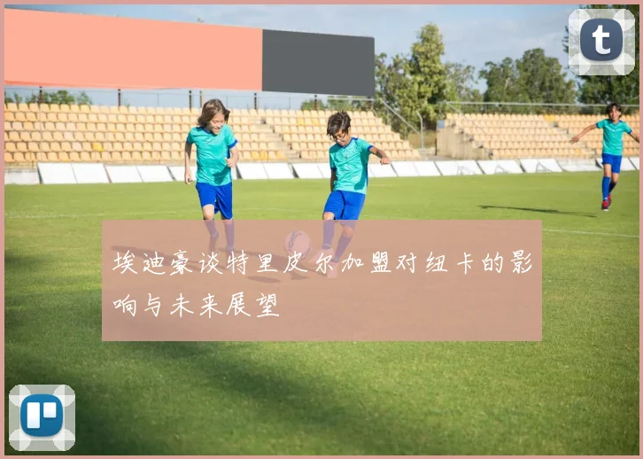 埃迪豪谈特里皮尔加盟对纽卡的影响与未来展望